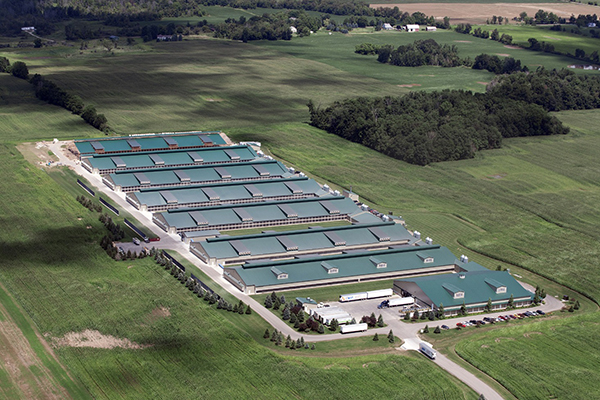 Harbin Cosmic Connection Co.,Ltd